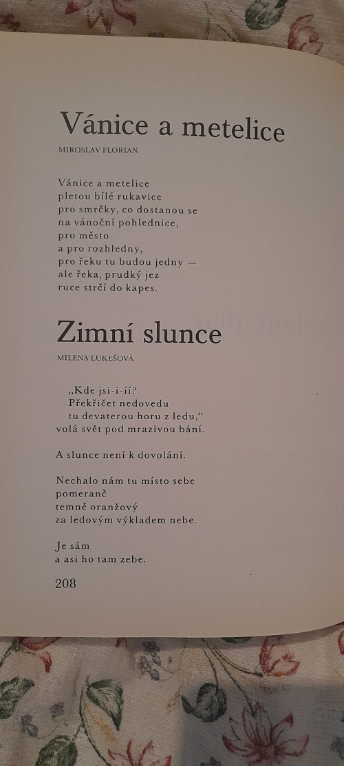 Savci - Josef Lada — foto 6