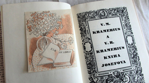 Kniha Josefova — foto 2
