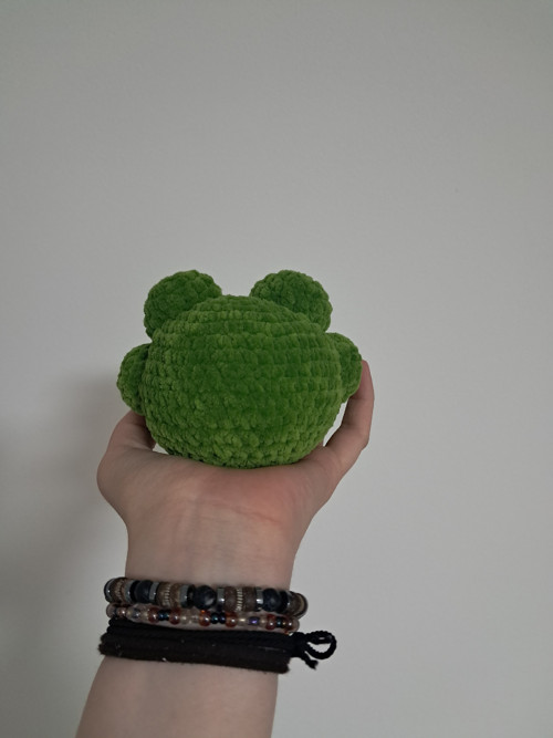 Žabka Kvapka — foto 4