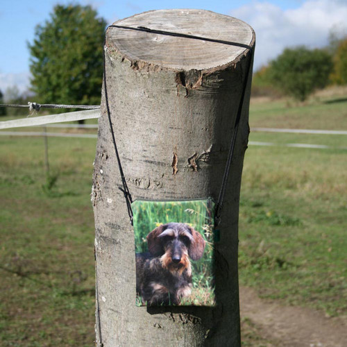 Panel bavlněný 21x16 cm: Pes - jezevčík — foto 2