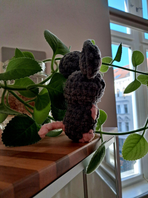 Háčkovaná myška — foto 2