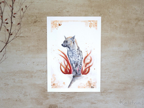 Ohnivá hyena — foto 2
