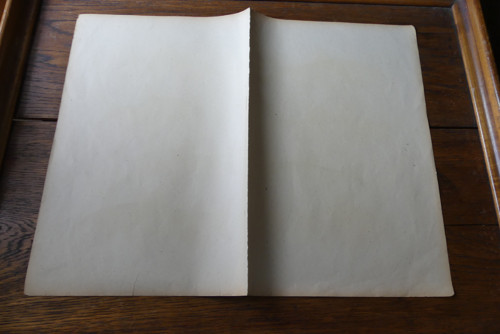 Originál litografie z 19. století, ryby — foto 5