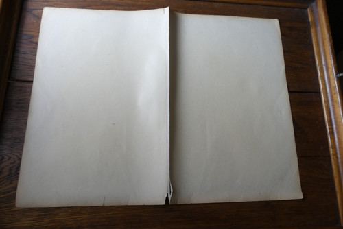 Originál litografie z 19. století, ptáci — foto 6
