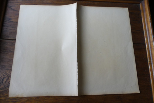 Originál litografie z 19. století, ptáci — foto 4