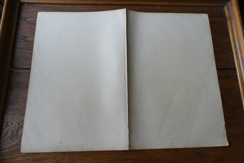 Originál litografie z 19. století, ptáci — foto 4