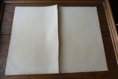 Originál litografie z 19. století, ptáci — foto 5