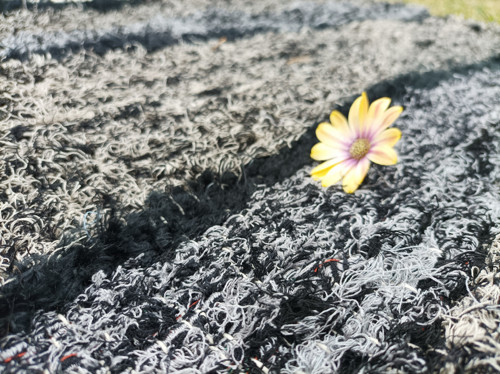 Čertovská předložka — foto 3