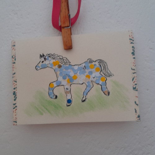 Modrý koník — foto 2