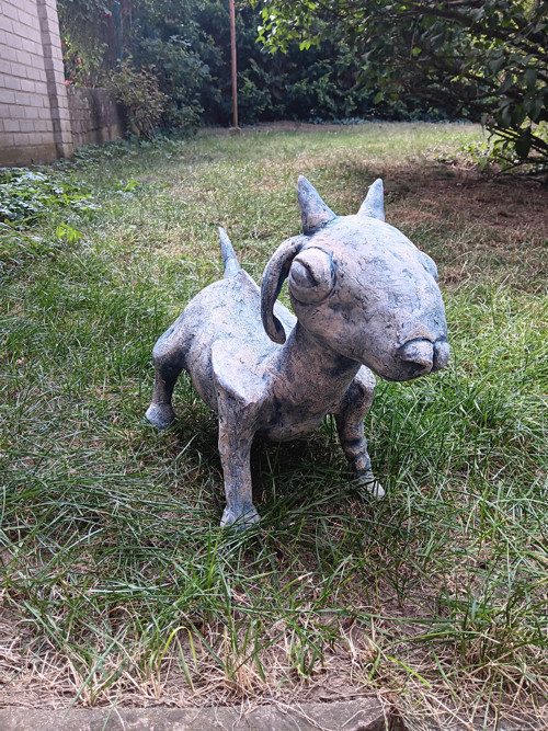 Koza podle Picassa — foto 2