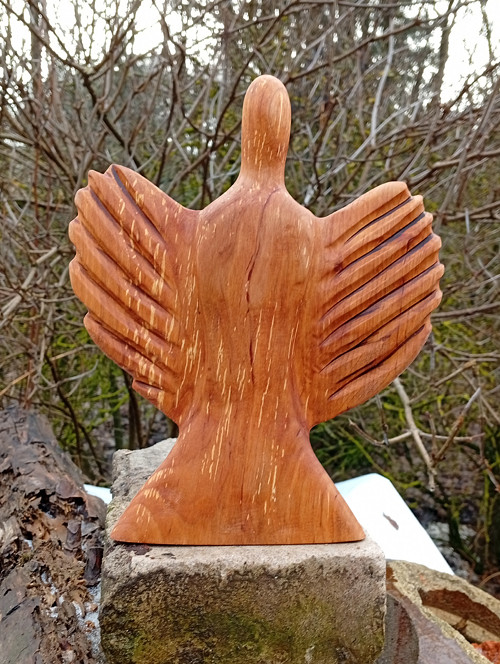 Anděl - cesta do mraků a dál — foto 6