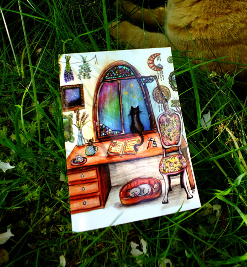 Magické okno kočičí - pohlednice/přání — foto 2