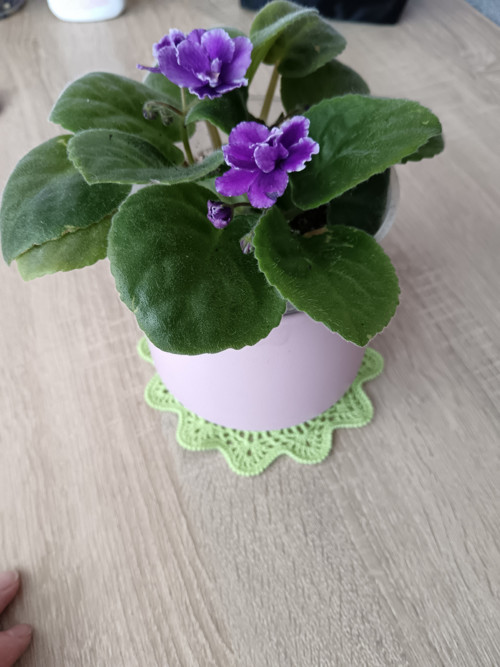 Krajka háčkovaná modrá — foto 3