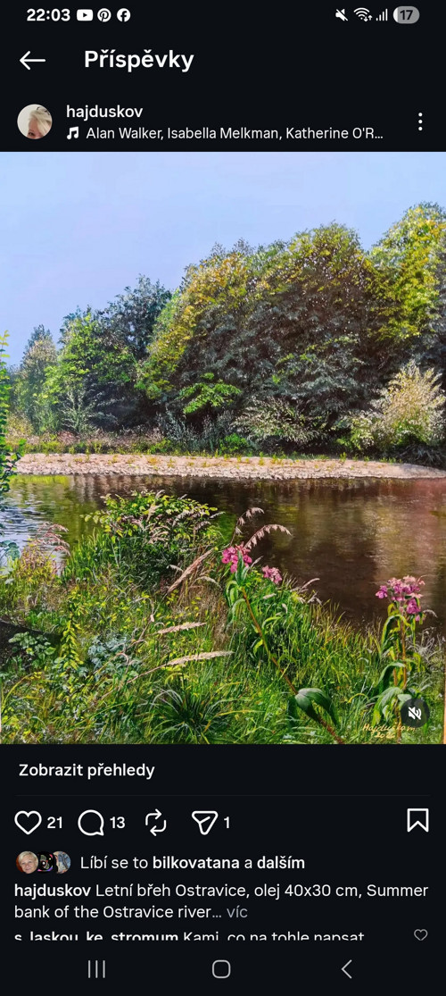 Letní břeh řeky Ostravice — foto 2