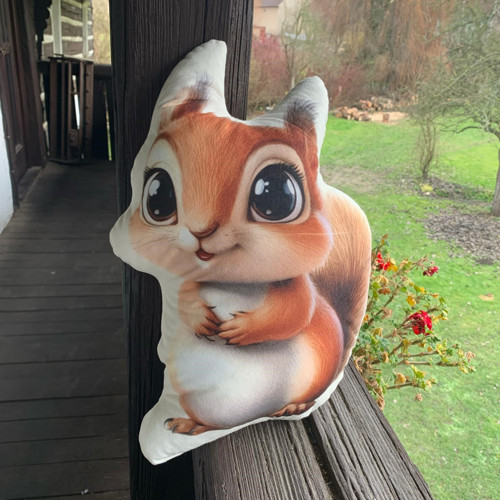 Polštář 3D - Veverka hnědá — foto 4