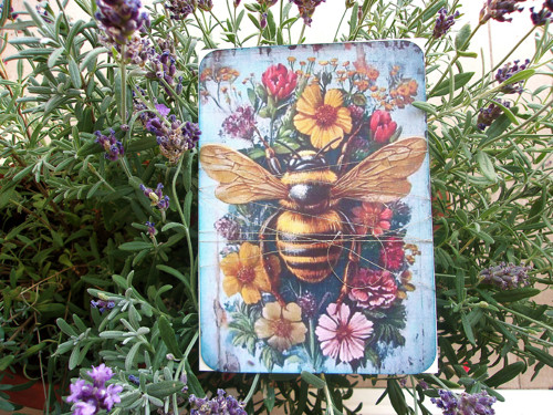 The Bee — foto 4