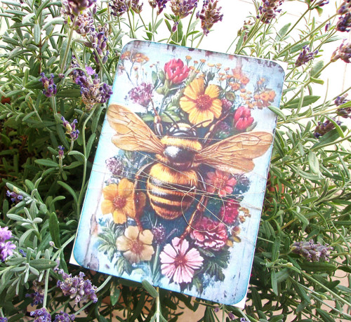 The Bee — foto 2