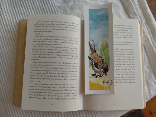 Záložka vrabčáček — foto 5
