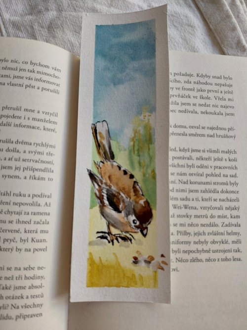 Záložka vrabčáček — foto 2