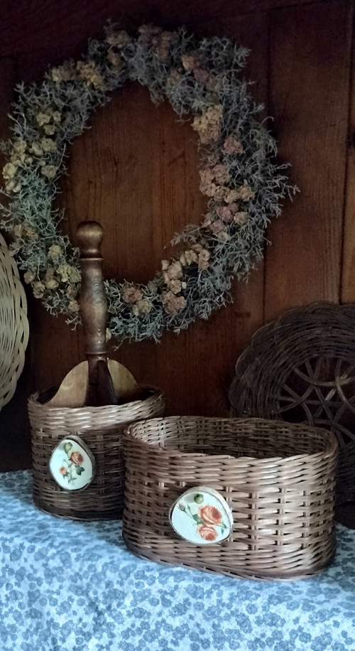 Příborník hnědý — foto 3