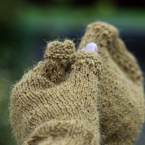 V hořčicové ... alpaca — foto 5