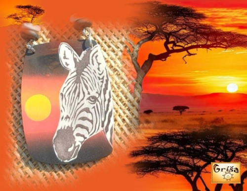 Zebra — foto 2