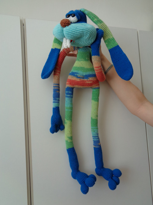 Orlí králík Janek — foto 2