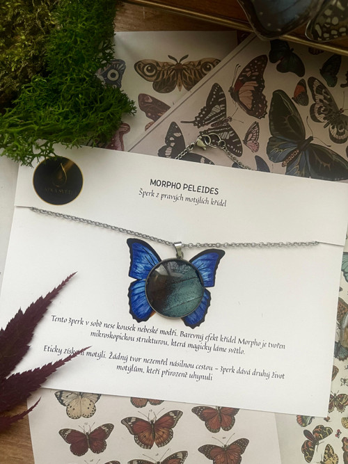 Motýlí šperk Morpho — foto 2