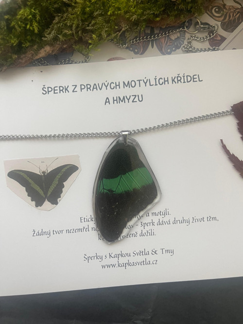 Šperk z křídla Papilio palinurus — foto 3
