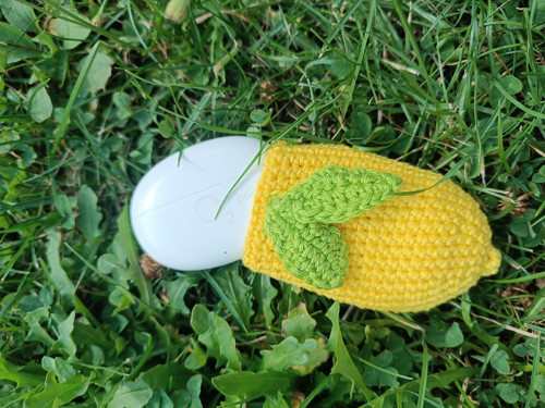 When life gives you lemons... — foto 3