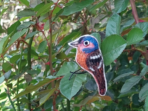 Z ptačí říše - pěnkava — foto 3