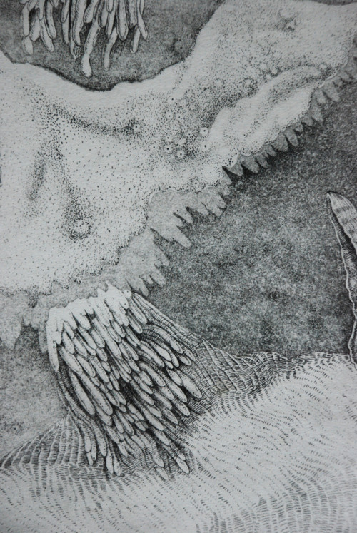 Autorská grafika Anděl — foto 3