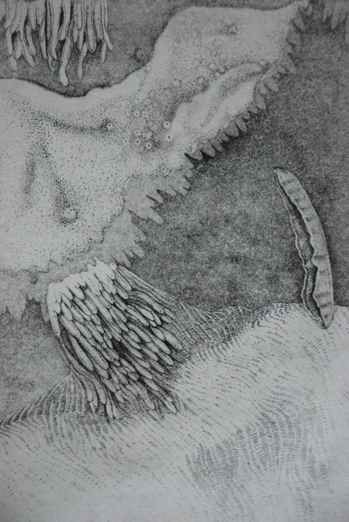 Autorská grafika Anděl — foto 2
