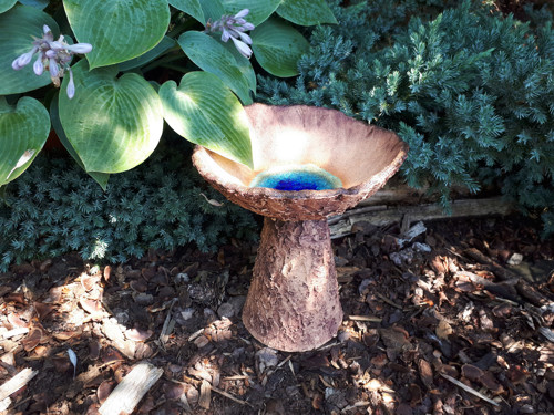 Studánka pro ptáčky, včelky a jiný hmyz — foto 2