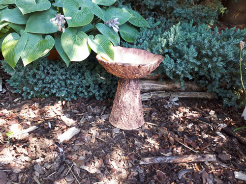 Studánka pro ptáčky, včelky a jiný hmyz — foto 4