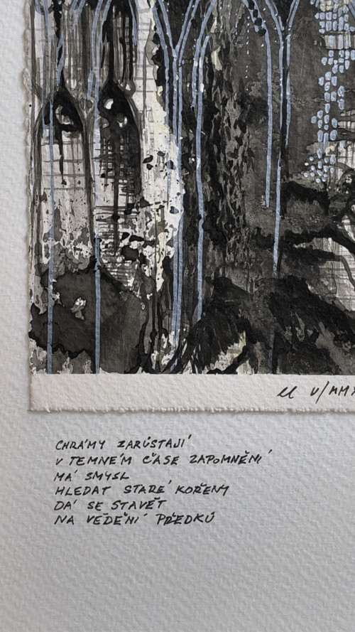 Chrámy zarůstají — foto 3