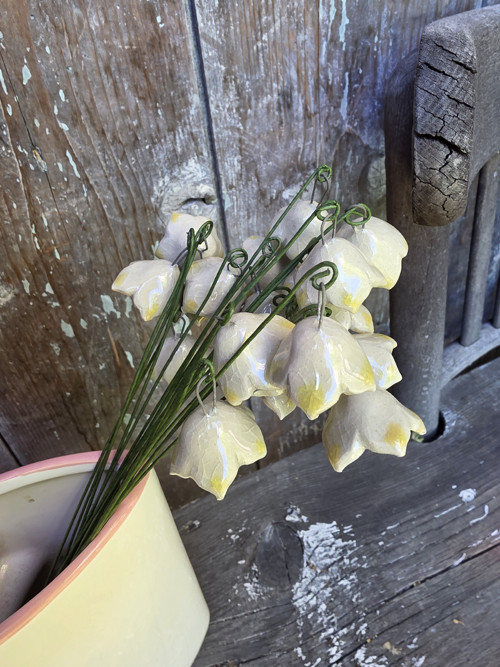 Bledule — foto 4