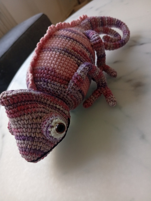 Chameleon — foto 4
