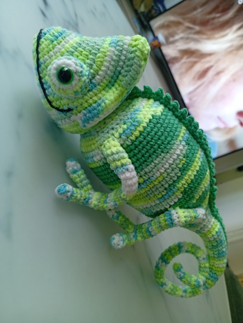 Chameleon — foto 2
