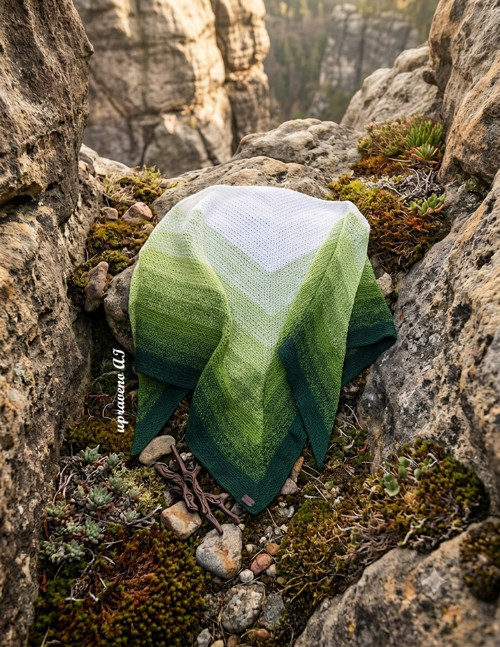 Skoromech — foto 2