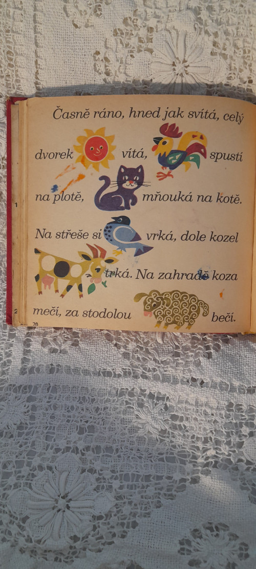 Sluníčko — foto 2