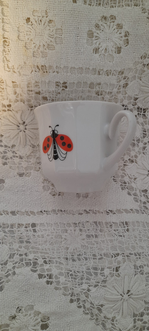 Květ + beruška — foto 2