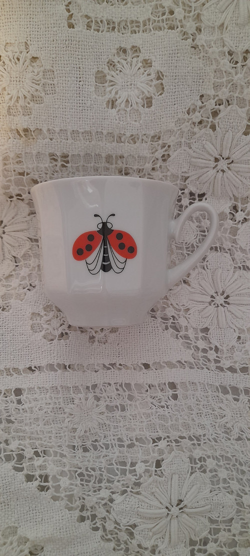 Květ + beruška — foto 6