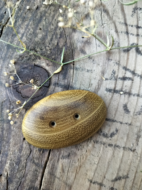 Knoflík ze dřeva akátu — foto 2