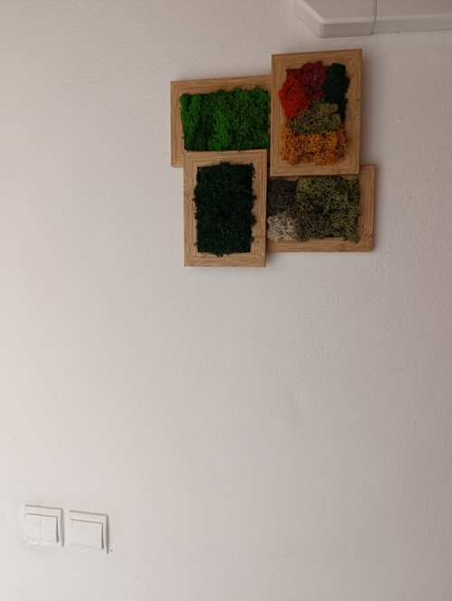 Čtvero ročních období — foto 3