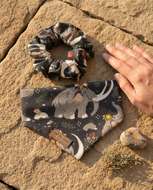 Set pro pejska a pro Tebe: Bandana a Scrunchie — foto 4