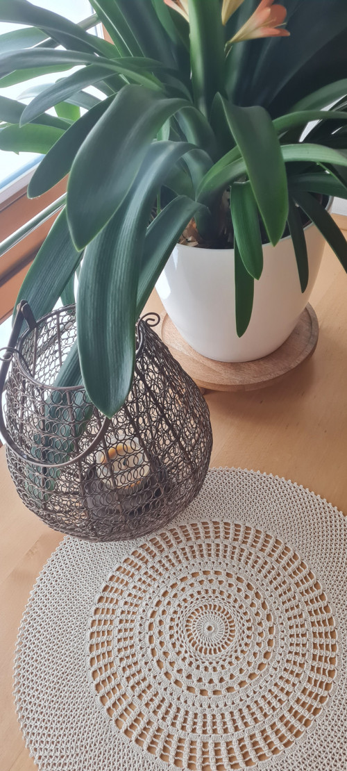 Dečka kulatá — foto 4