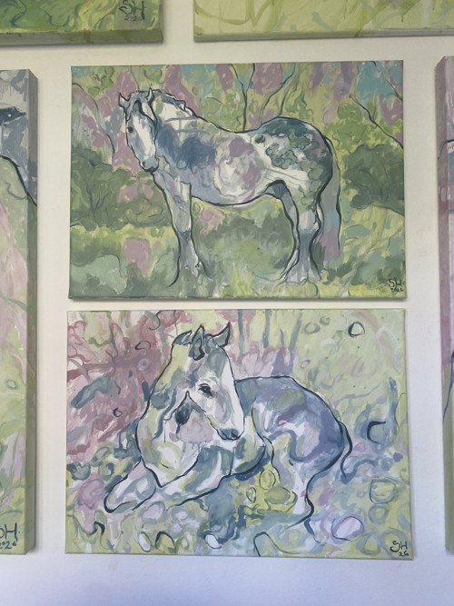 Hříbě (Horsies: Foal) — foto 3