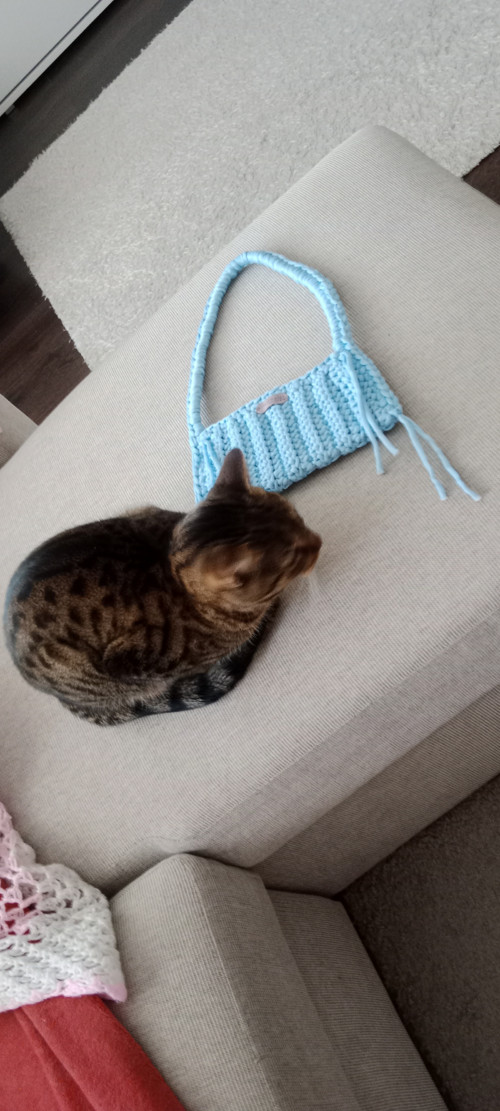 Háčkovaná kabelka , moderní styl — foto 2