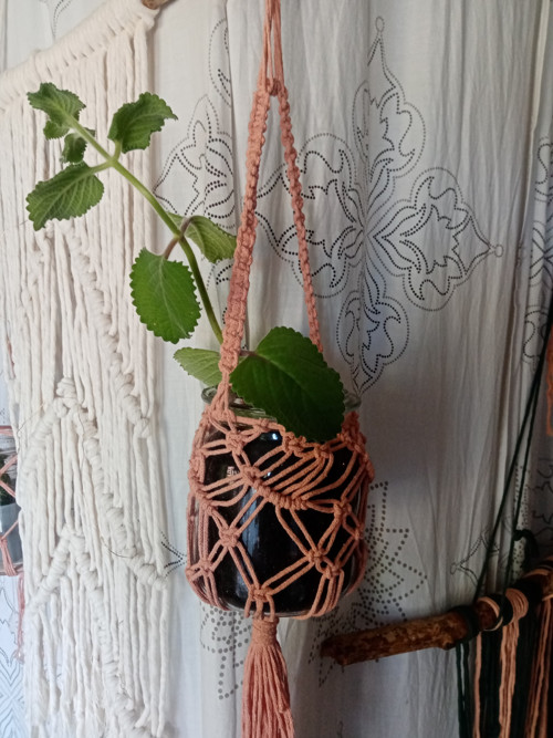 Macramé s rýmovníkem — foto 2